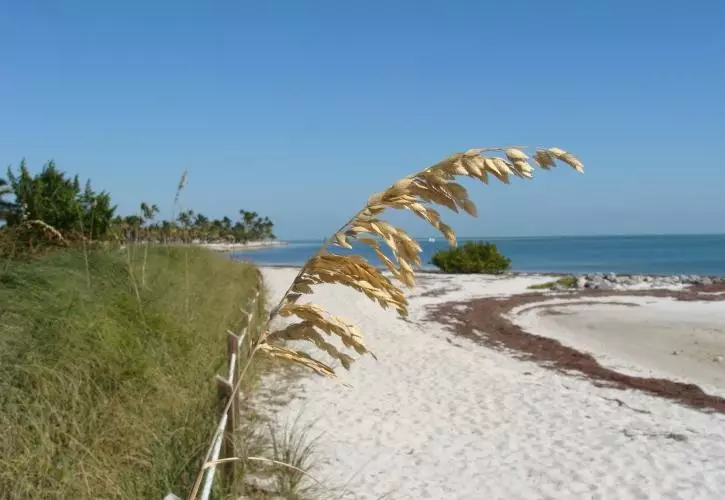 beachfront cheap rv parks in south florida 2022 2023
